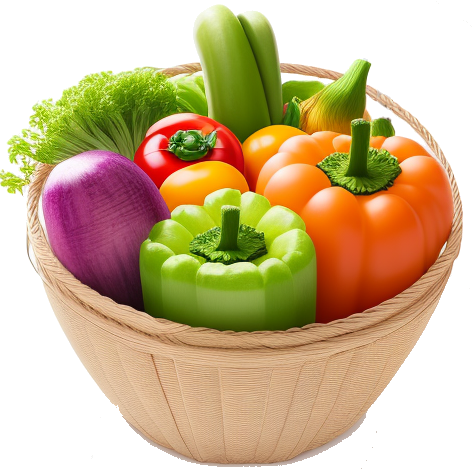 Outil de planification de production de légumes